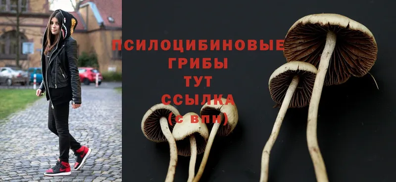 наркота  hydra онион  Галлюциногенные грибы Psilocybe  Вязьма 